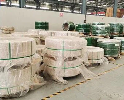 Pásek Hastelloy C276